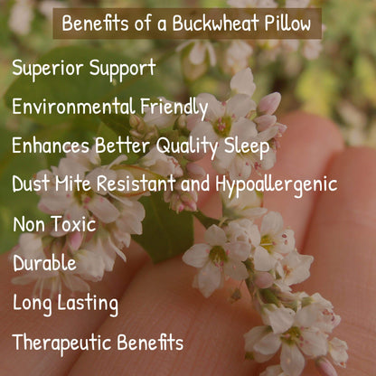 Cooling Buckwheat Pillow - PineTales