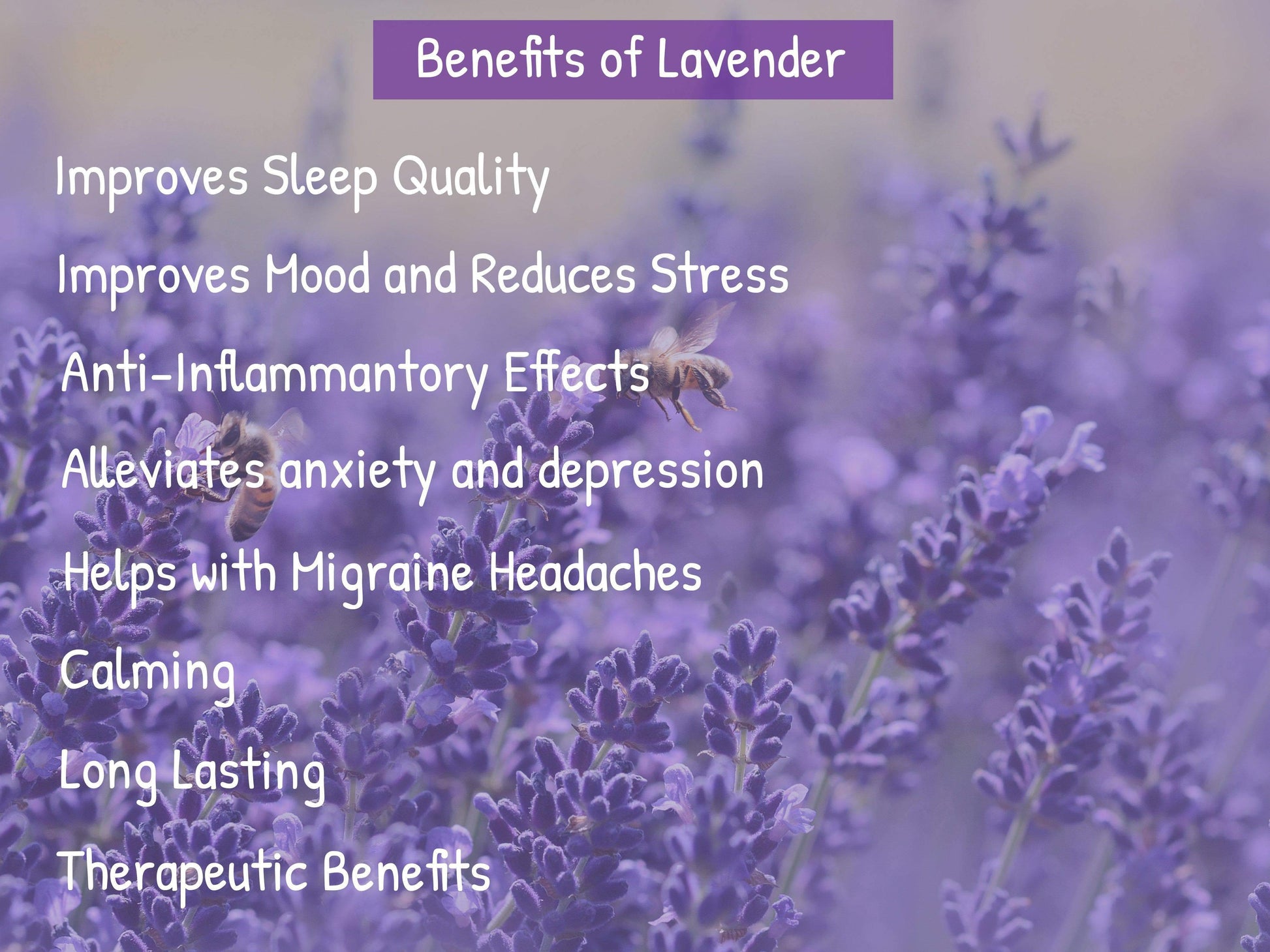 Lavender Buckwheat Pillow - Benefits of Lavender Listed